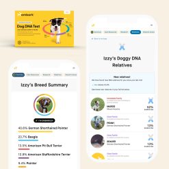 Alternative view of Embark Breed ID and Age Test Bundle