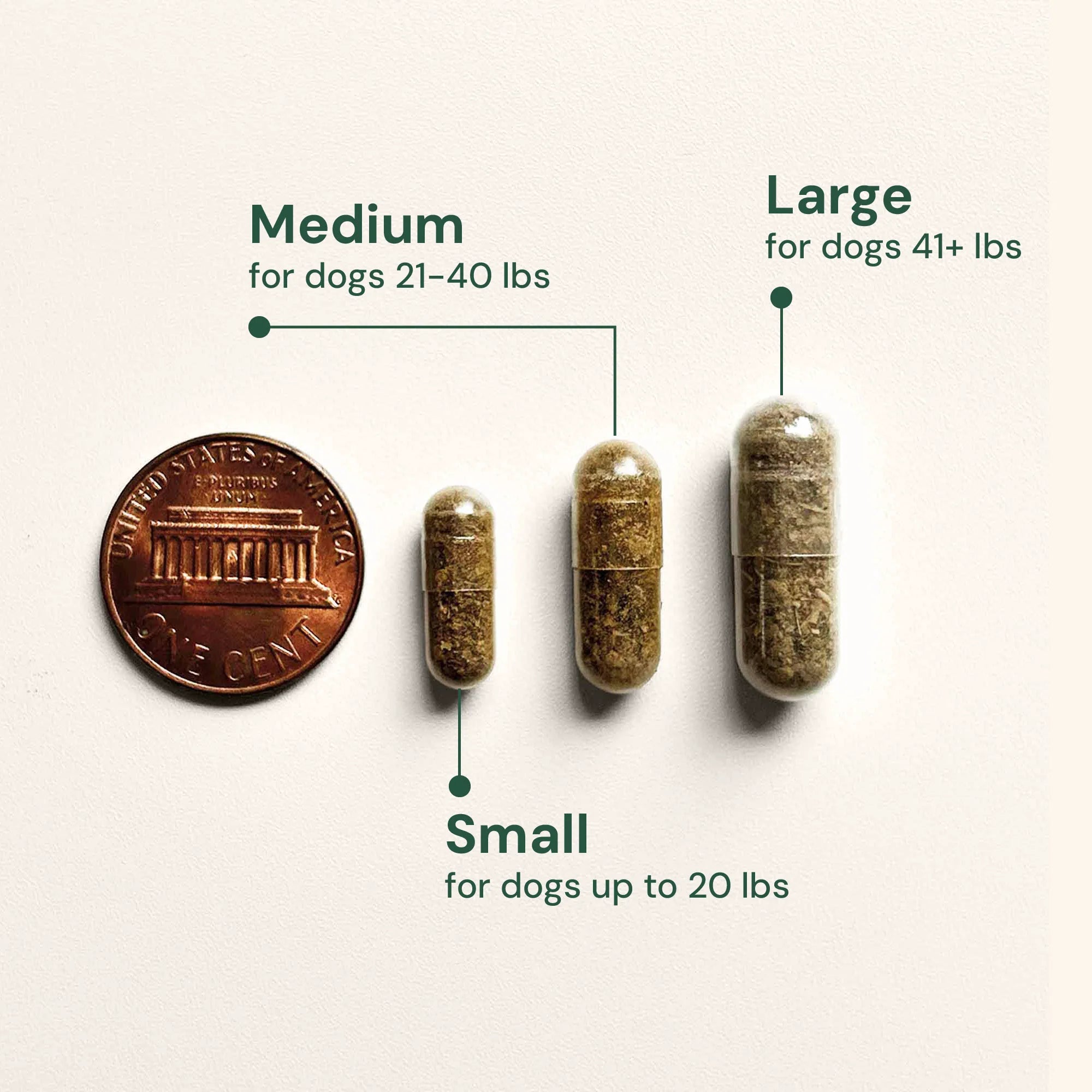 Embark Gut Restore Supplement for Dogs - Image 5