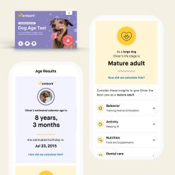 Alternative view of Embark Breed + Health and Age Test Bundle
