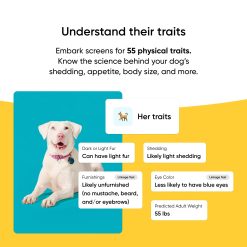 Alternative view of Embark Breed + Health Test 2-Pack