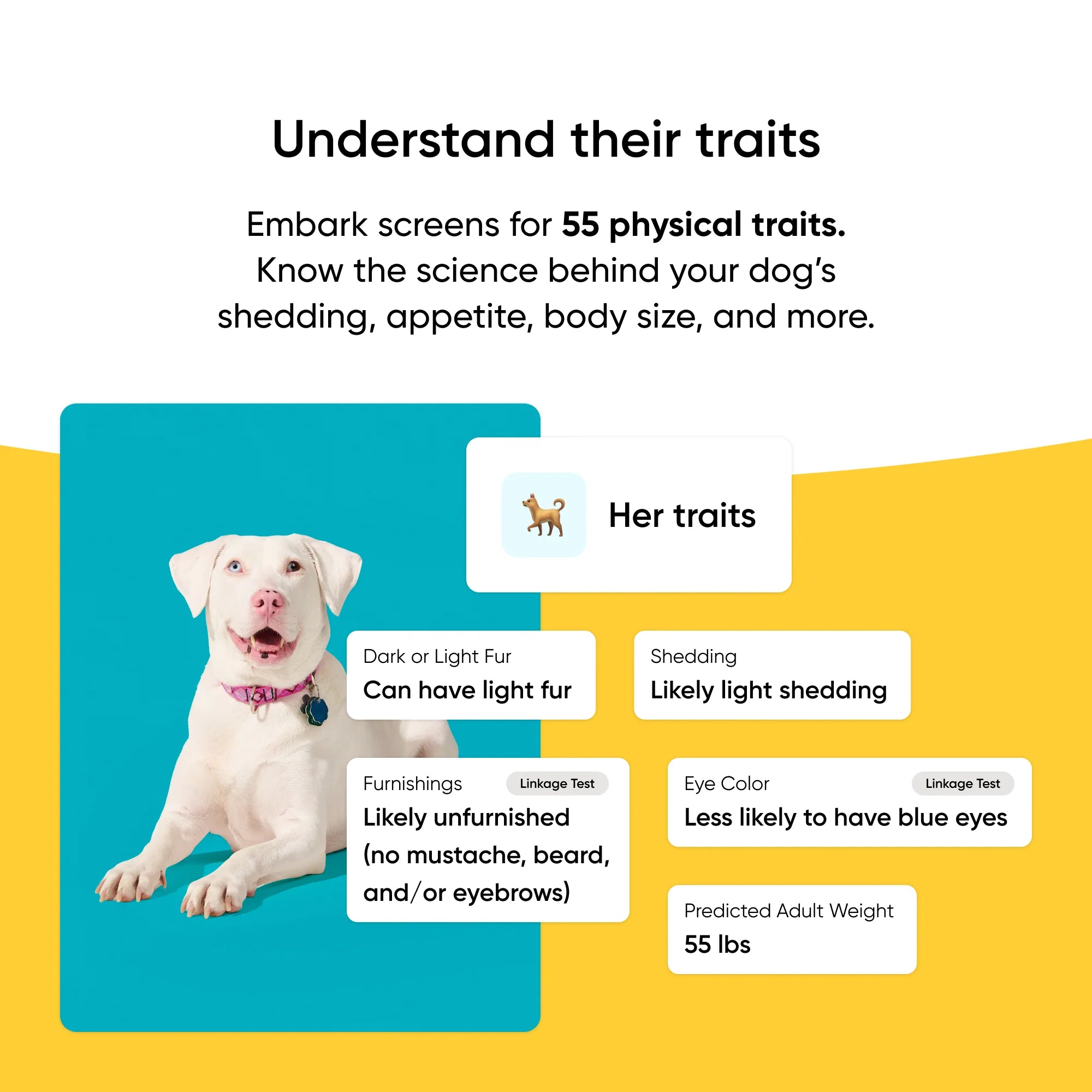 Embark Breed + Health Test 2-Pack - Image 2