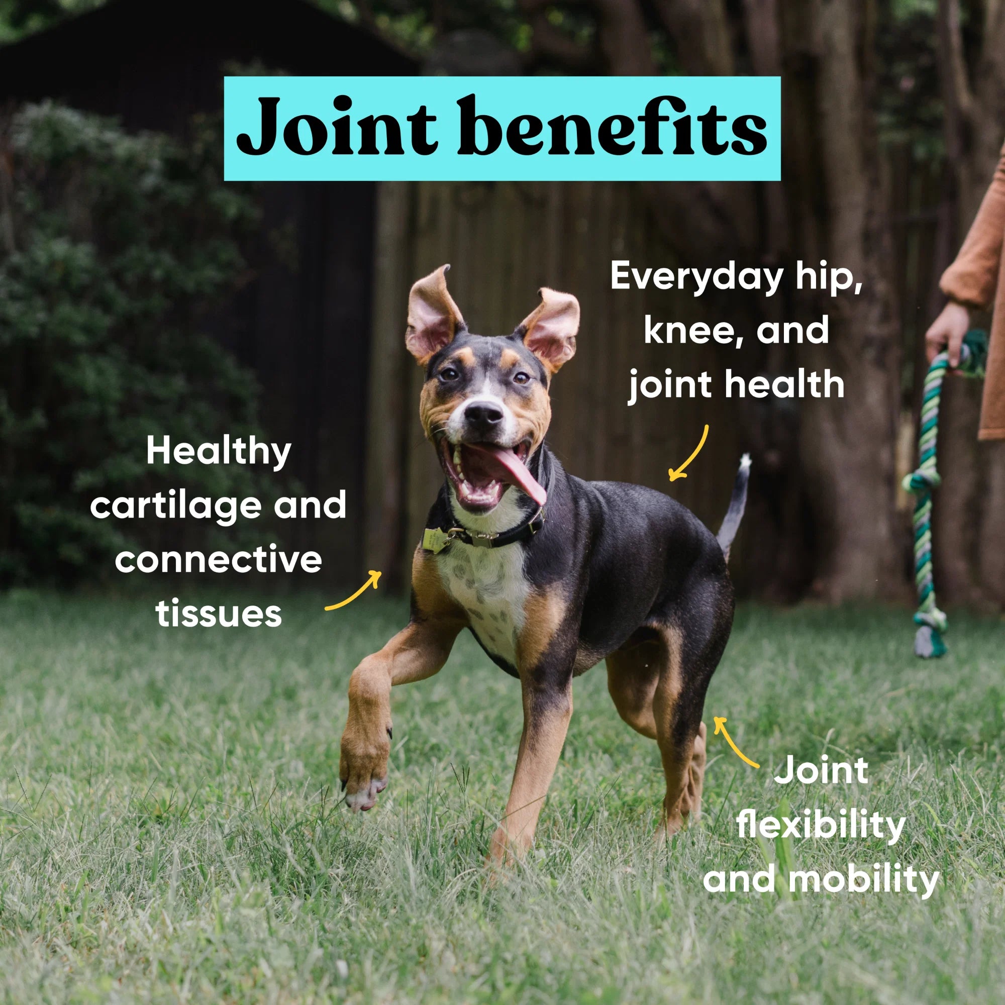 Embark Joint - Image 4
