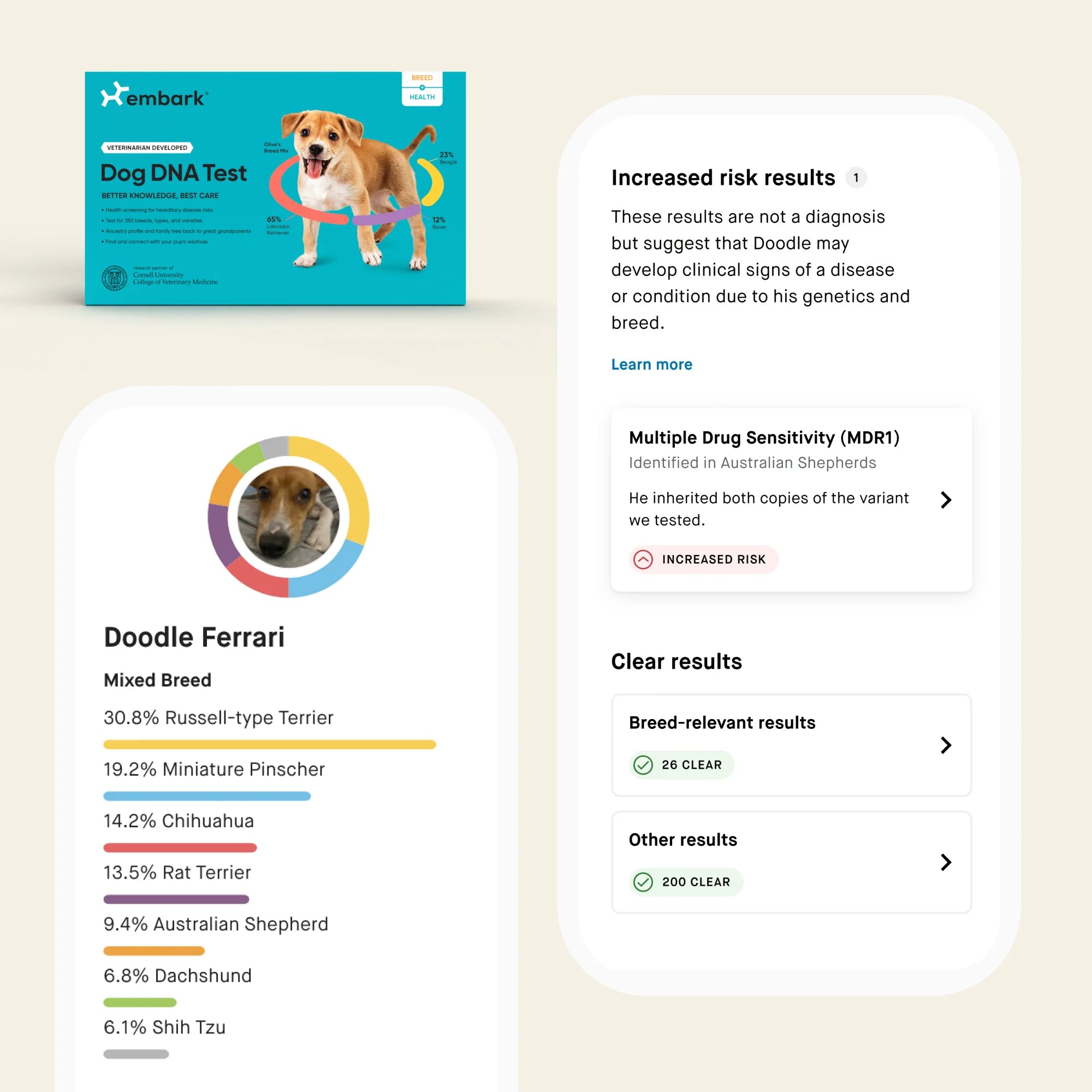 Embark Breed + Health and Age Test Bundle - Image 3