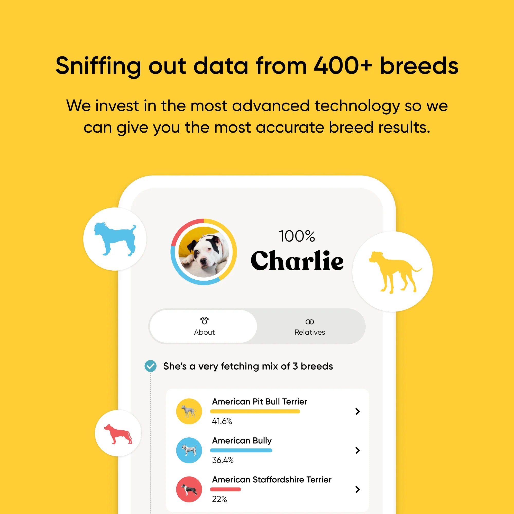 Embark Breed + Health Test 2-Pack - Image 4