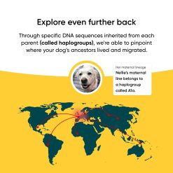 Alternative view of Embark Purebred Test 2-Pack