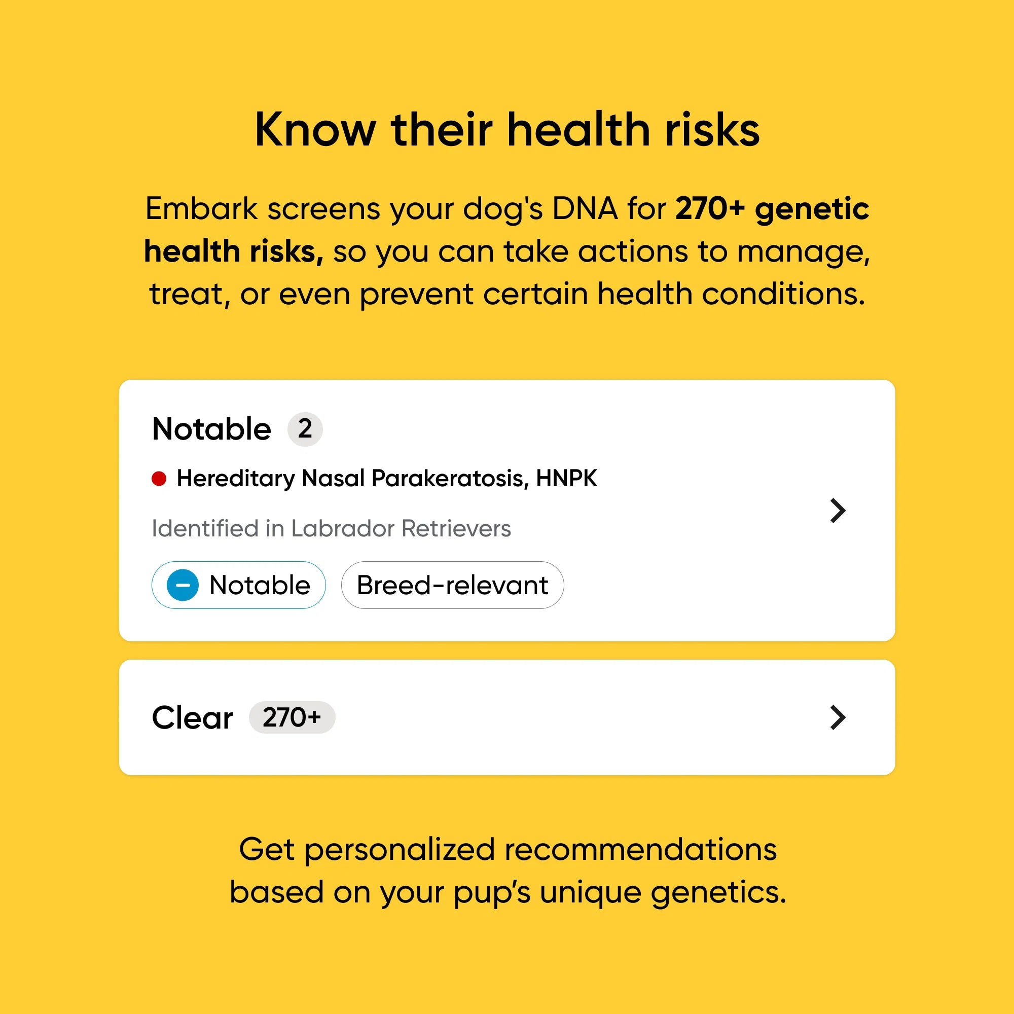 Embark Breed + Health Test 2-Pack - Image 7