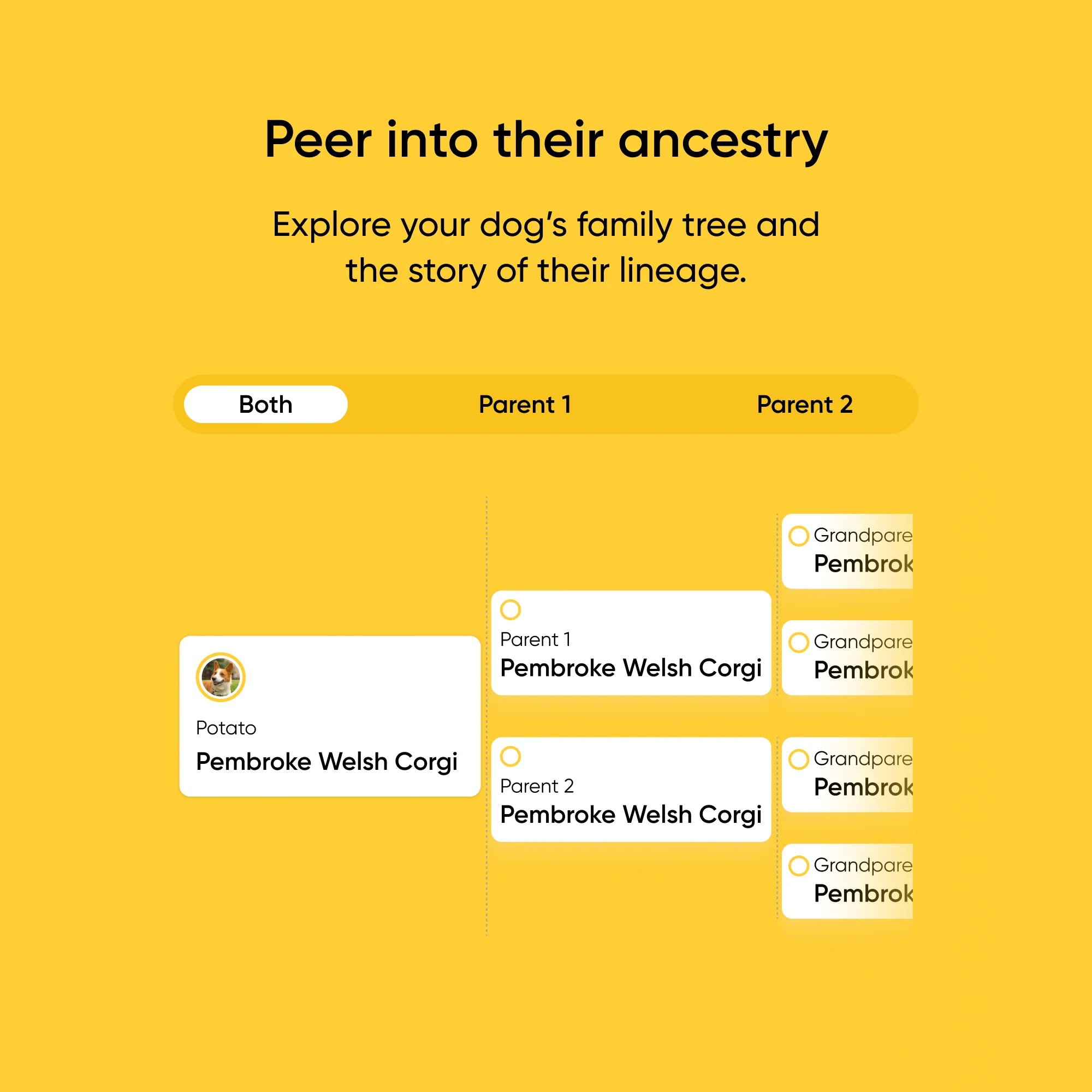 Embark Purebred Test 2-Pack - Image 8