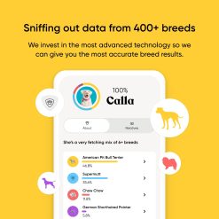 Alternative view of Embark Breed + Health Dog DNA Test