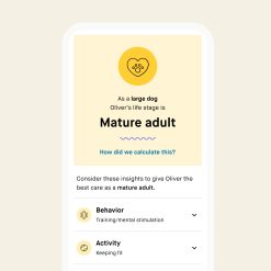 Alternative view of Embark Age Test 2-Pack