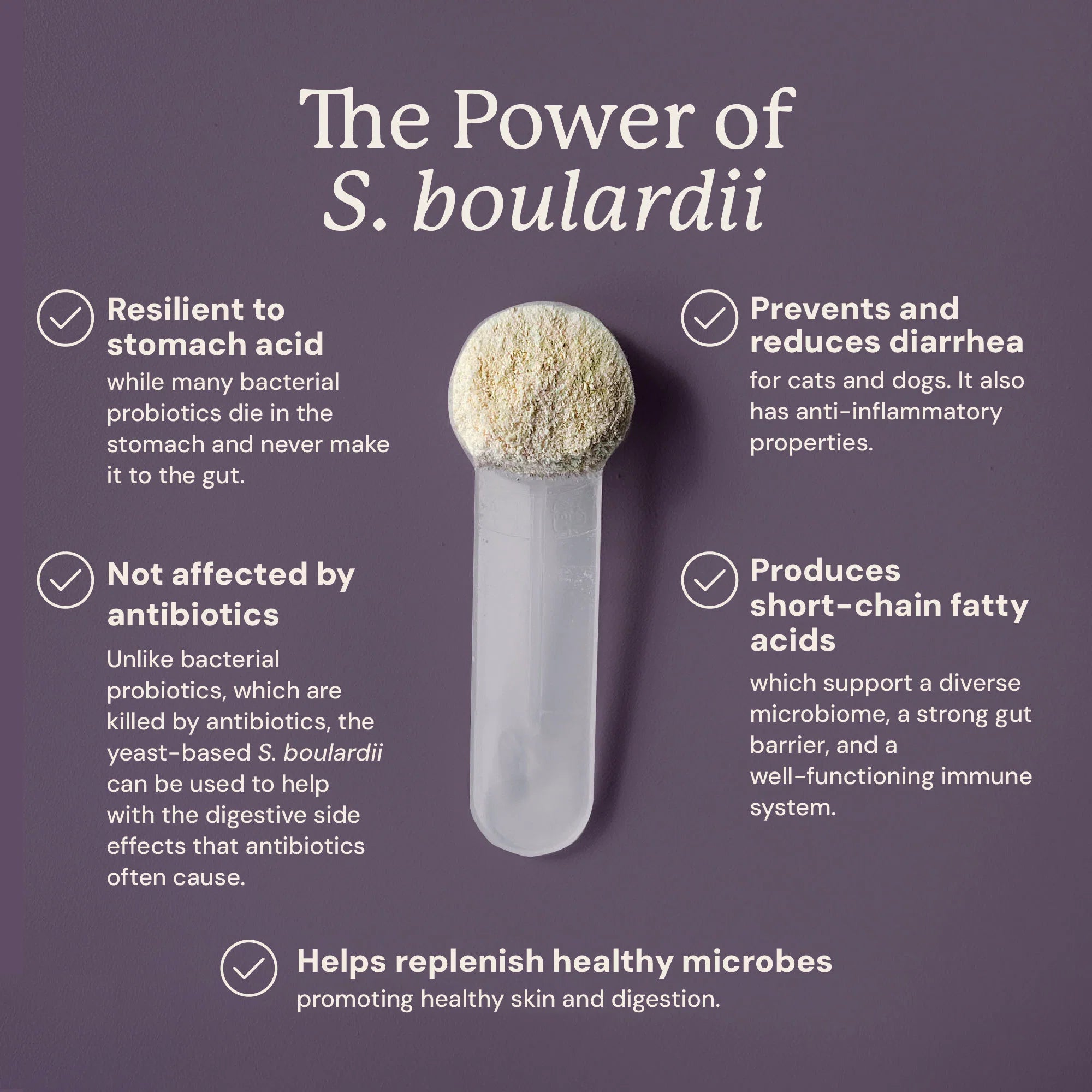 Embark S. Boulardii + FOS Powder - Image 4