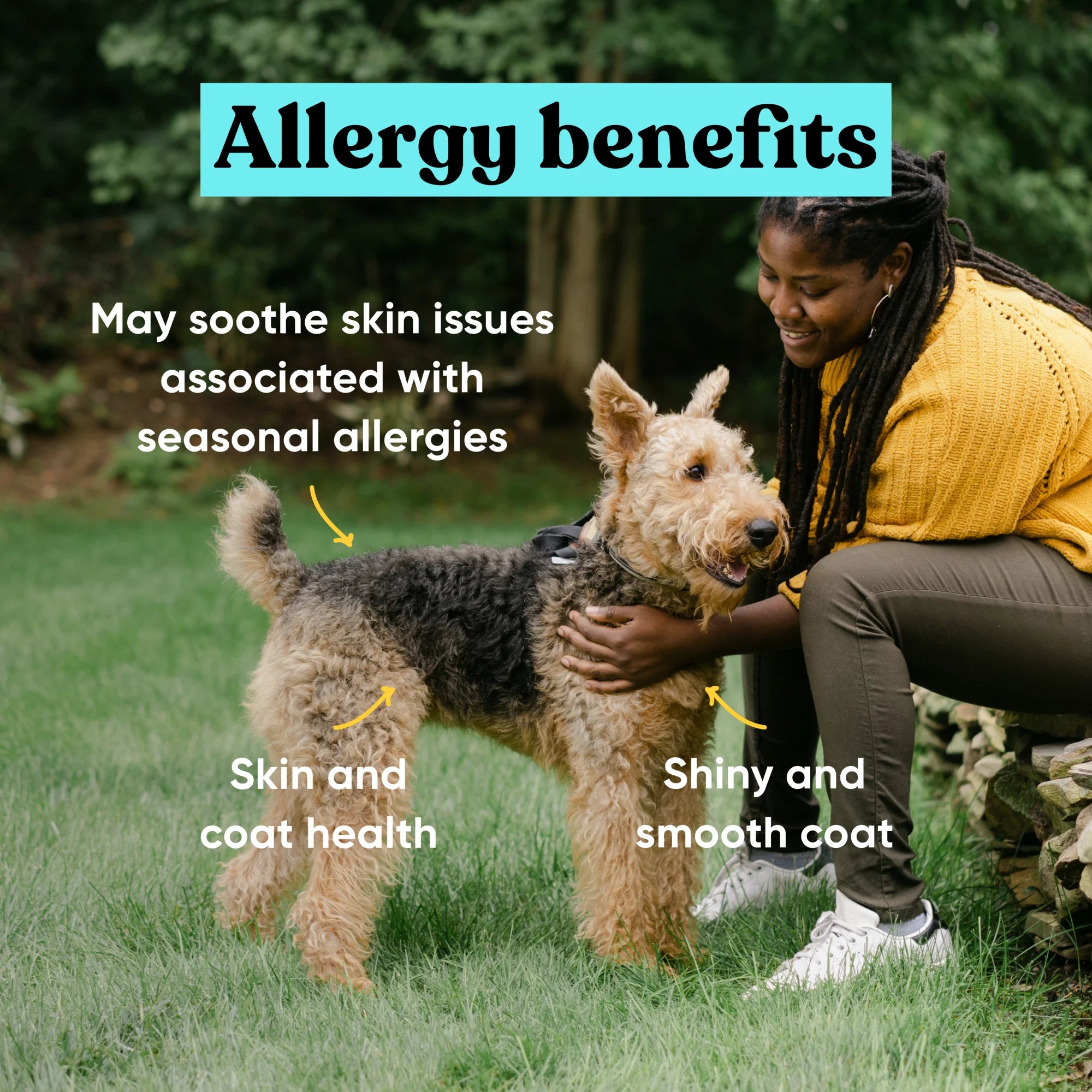 Embark Allergy - Image 2