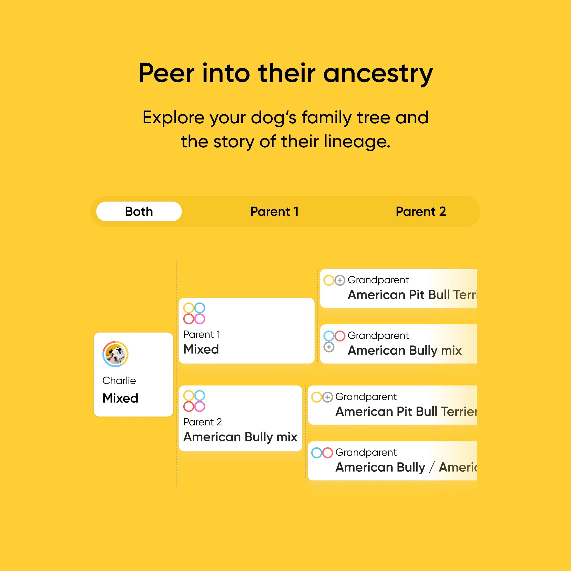 Embark Breed + Health Dog DNA Test - Image 6