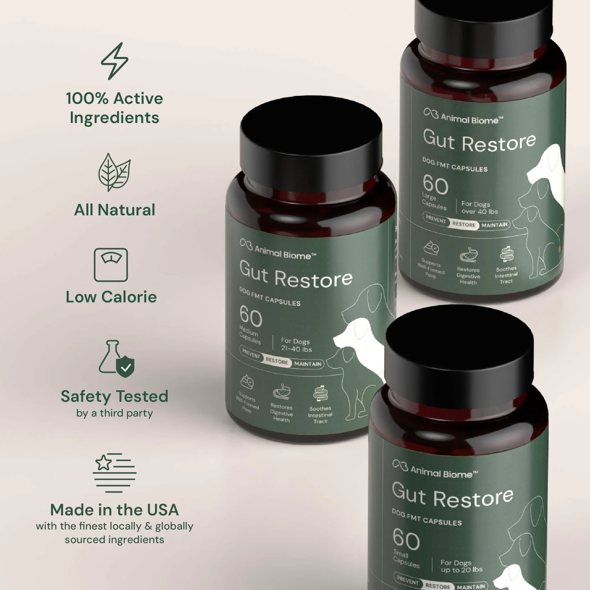 Embark Gut Restore Supplement for Dogs - Image 9