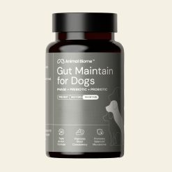Embark Gut Maintenance Plus Supplement