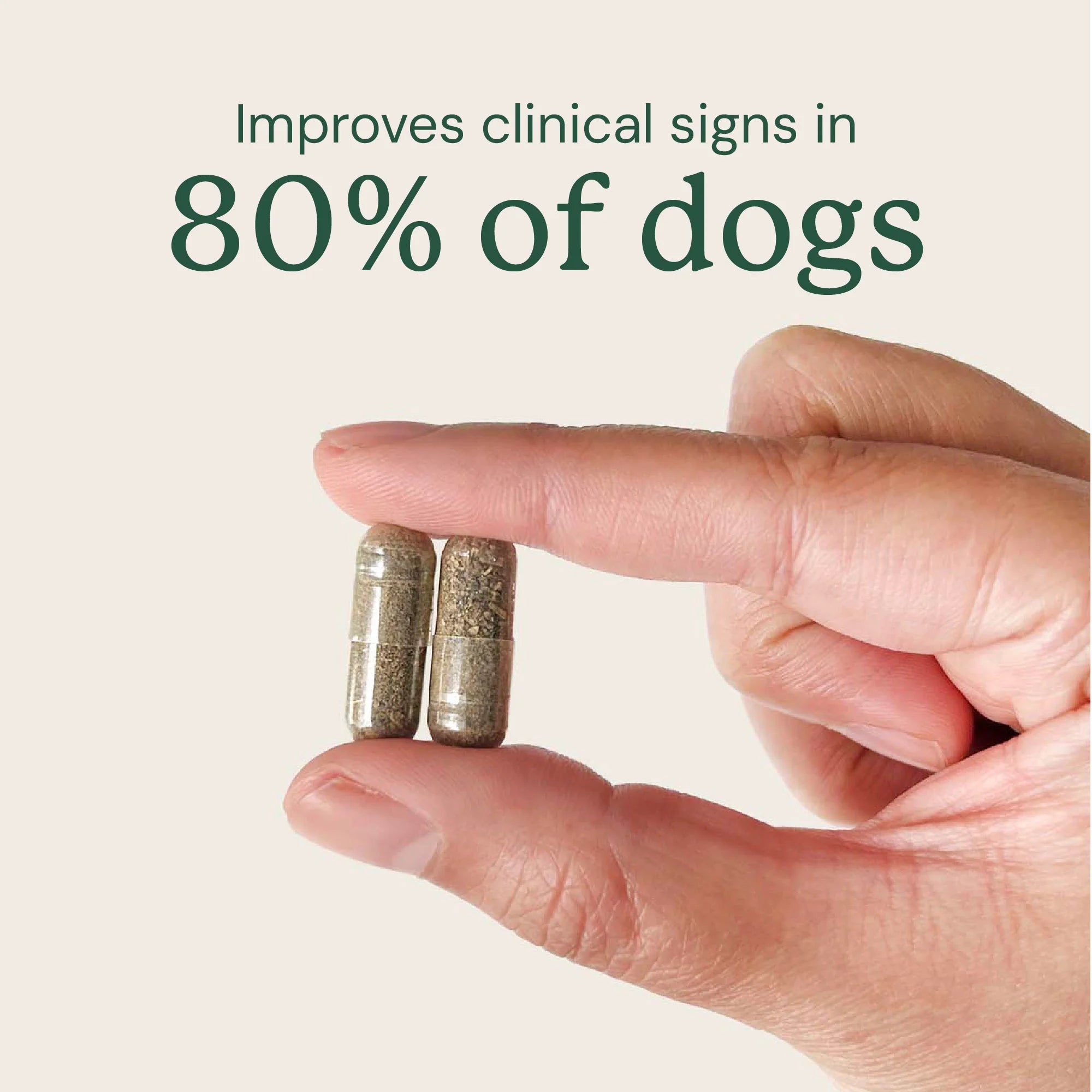 Embark Gut Restore Supplement for Dogs - Image 8