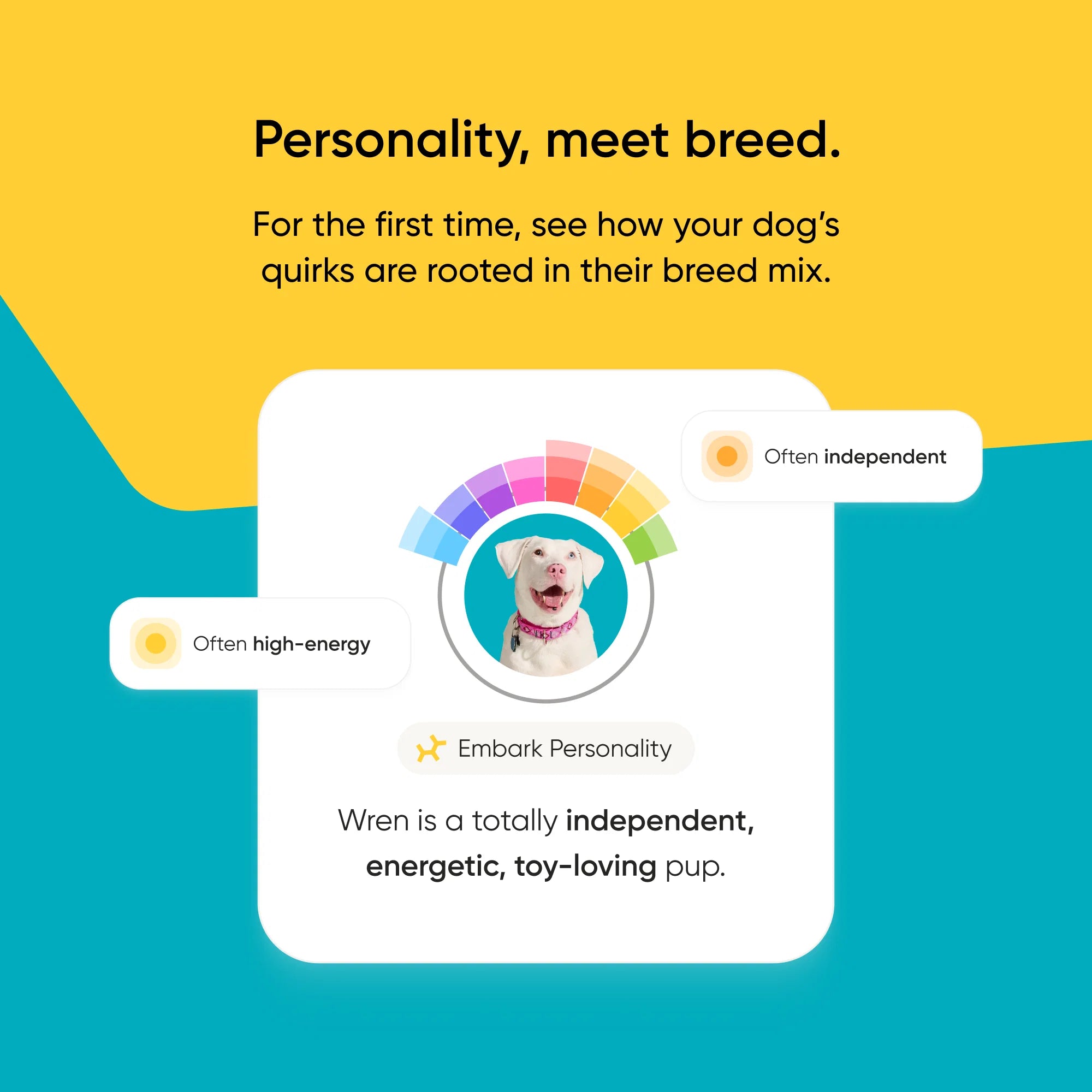 Embark Breed + Health Dog DNA Test - Image 8