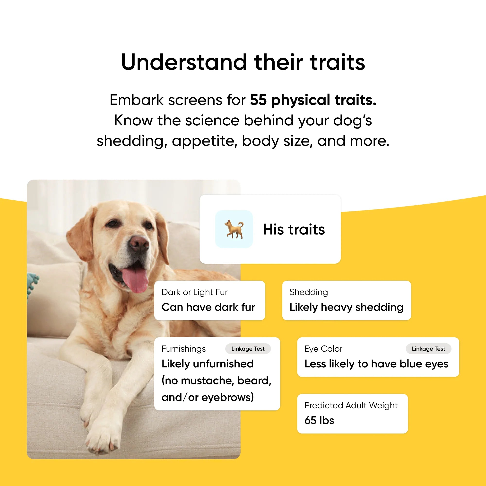 Embark Purebred Test 2-Pack - Image 4