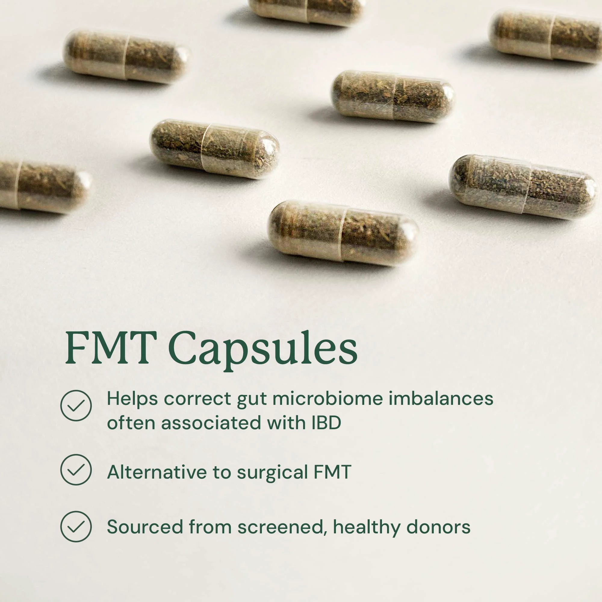 Embark Gut Restore Supplement for Dogs - Image 3