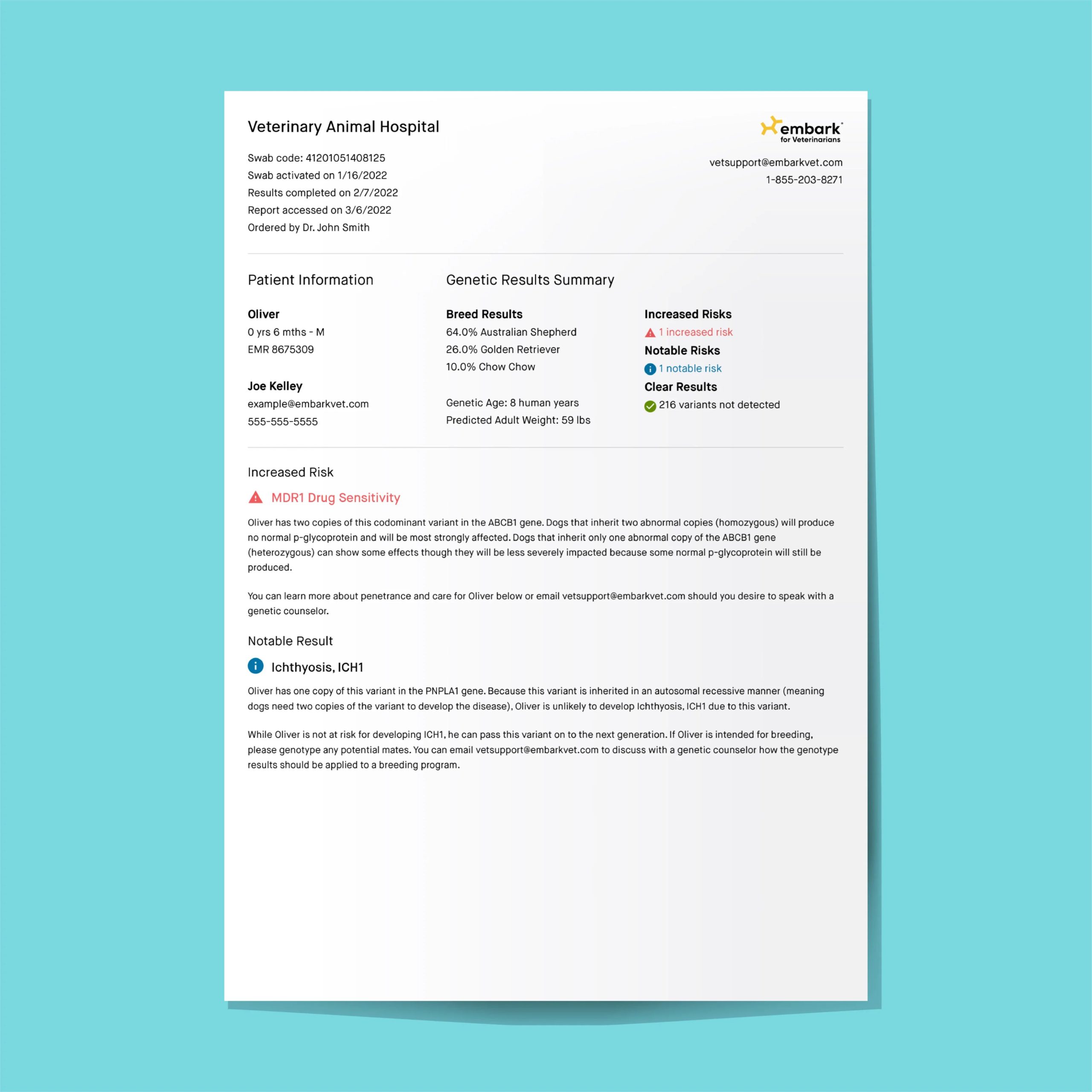 Embark for Veterinarians Dog DNA Test - Image 2