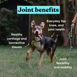 Alternative view of Embark Allergy and Joint Supplement Bundle
