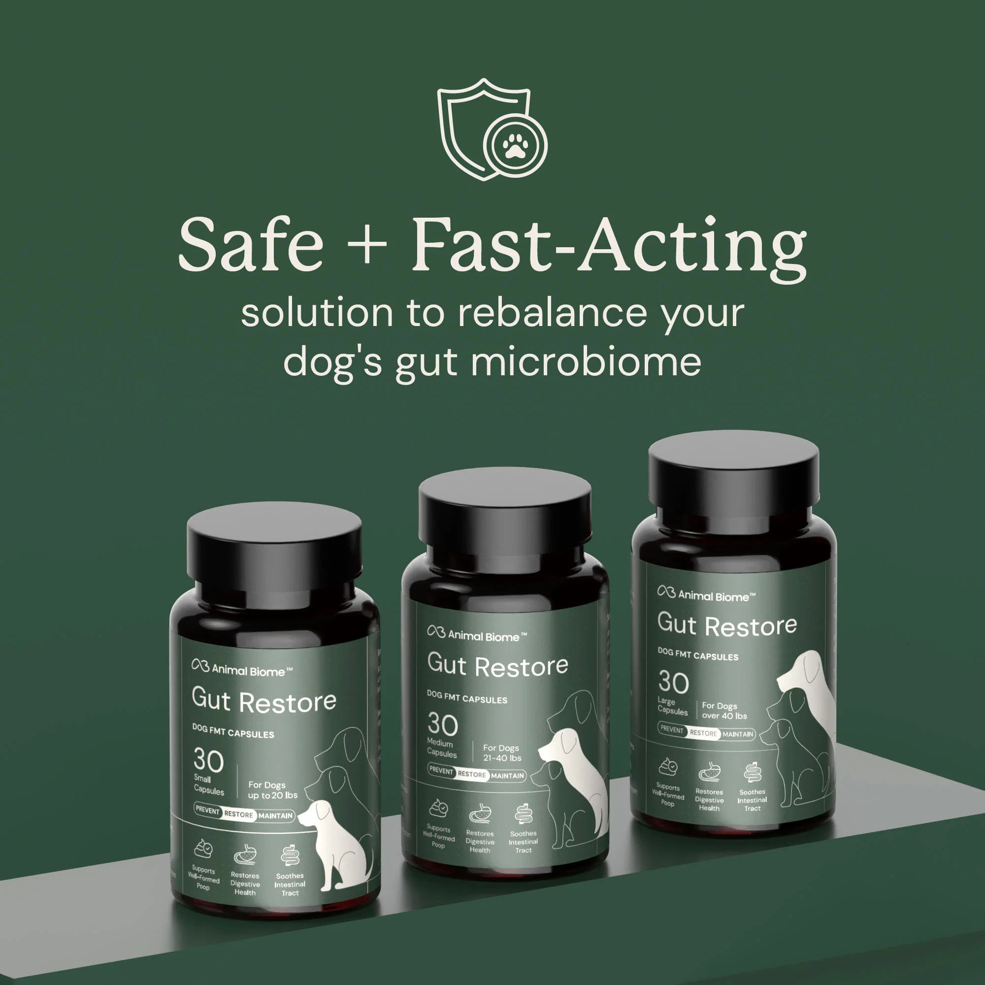Embark Gut Restore Supplement for Dogs - Image 6