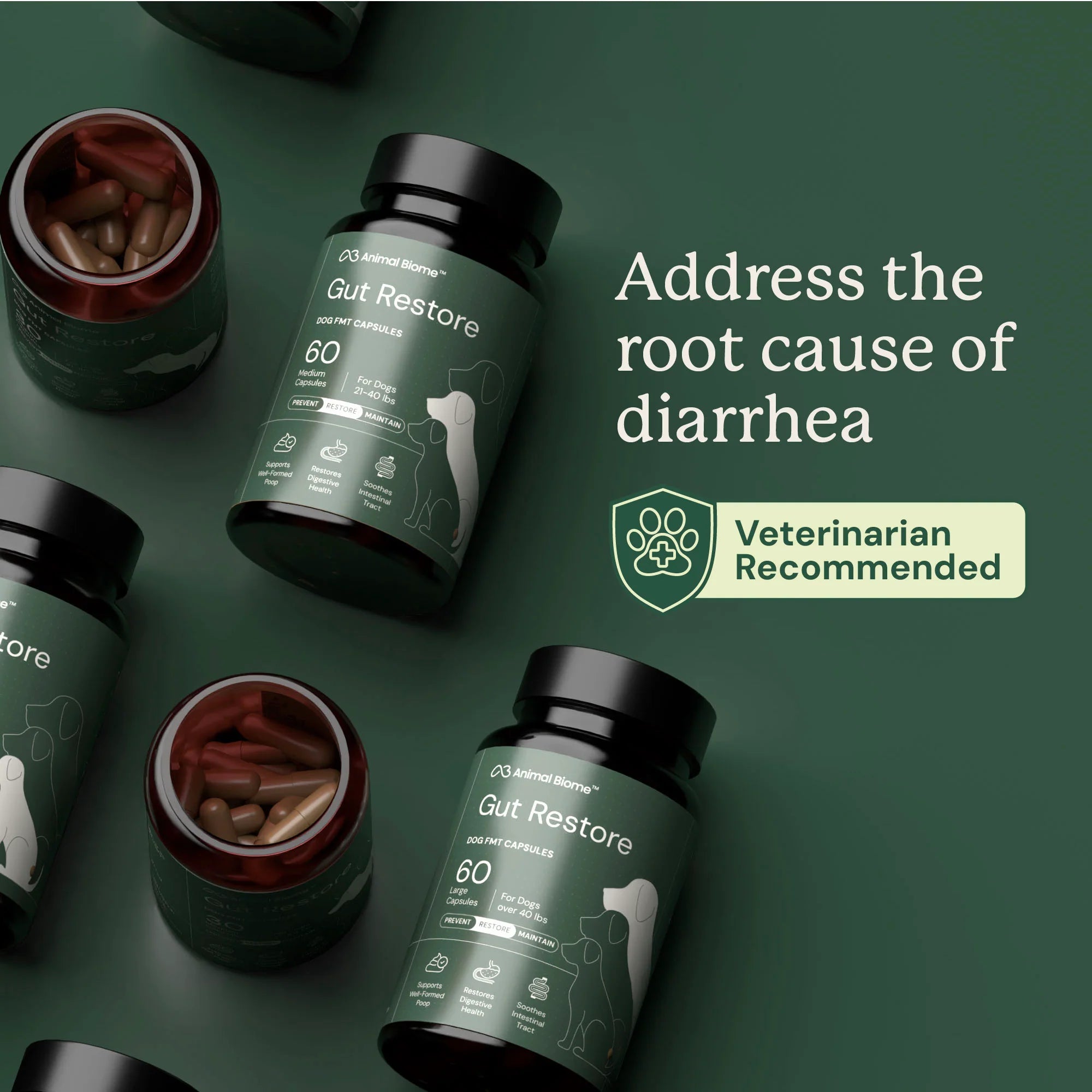 Embark Gut Restore Supplement for Dogs - Image 4