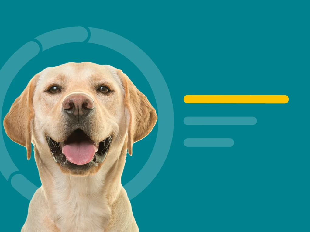 Most Accurate Dog DNA Test
